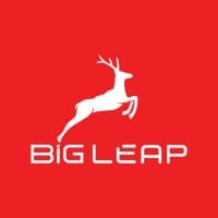 BigLeap logo