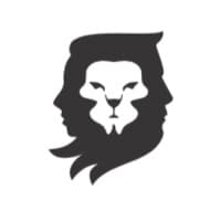 Black Lion Consulting logo