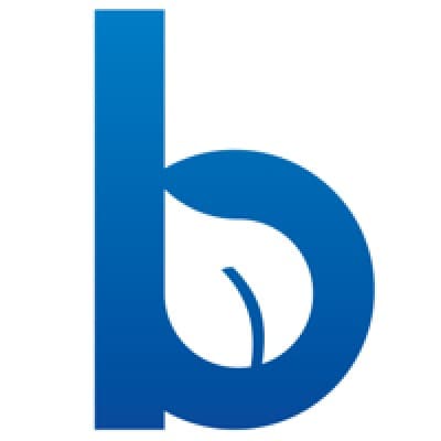 Blueleaf Wealth logo