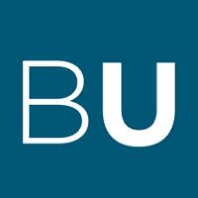 BRAND UPGRADE GmbH logo