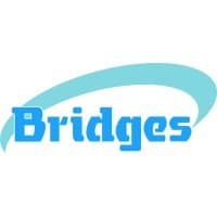 Bridges - Trusted Intelligent Engineering Partner logo