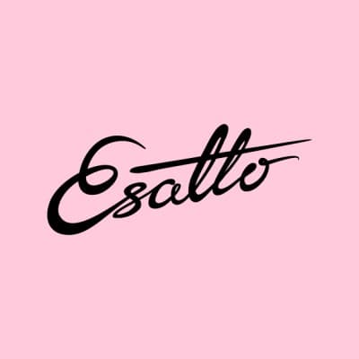 Esatto logo