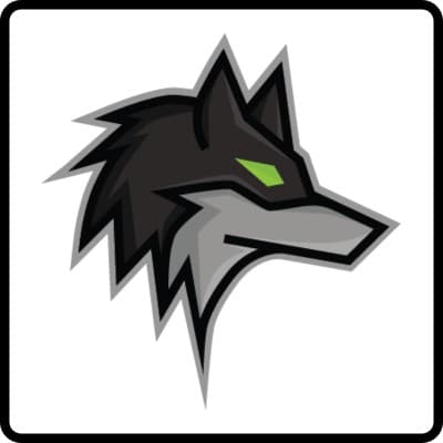 Dark Wolf Solutions logo