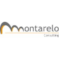 Montarelo Consulting logo