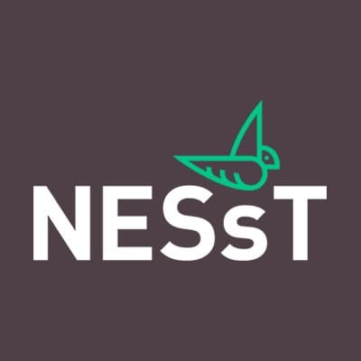 NESsT logo