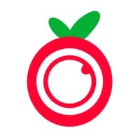 Orchard logo
