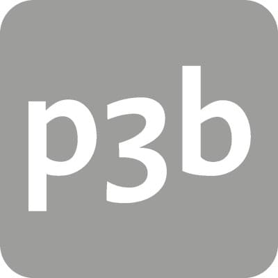 p3b ag logo