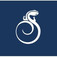 Salamander Washington DC logo