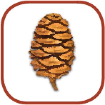 Sequoia Ecological Consulting logo