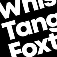Whiskey Tango Foxtrot GmbH logo