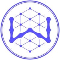 WisdomAI logo